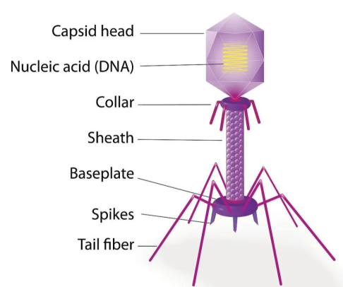 news-486-406 news-486-406